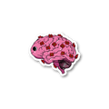 Floral mind