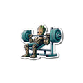 Gym collection
